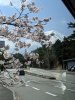 MVIMG_20190420_10520062.jpg