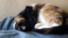 20190627_171214.jpg
