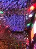 IMG_6124.JPG