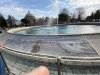 IMG_7517.jpg