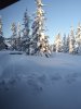 20200305_073915.jpg