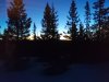 20200422_044550_001.jpg