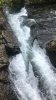 0A346E8D-23C0-4222-8088-149C77852DAF.jpeg