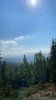 A54550F8-52DA-4ADD-B96C-D7501C7ADF93.jpeg