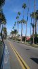 DSC_0333.JPG