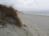 IMG_20210513_133539.jpg