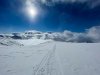 IMG_2448.jpg