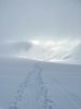 IMG_2452.jpg