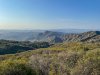 IMG_2558.jpg