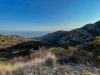 IMG_2559.jpg