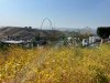 IMG_2579.jpg