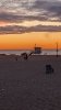 PXL_20220130_013625932.MP257.jpg