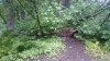 upload_2022-6-3_22-7-45.jpeg