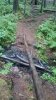 upload_2022-6-3_22-7-57.jpeg