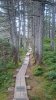 upload_2022-6-3_22-9-55.jpeg