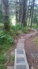 upload_2022-6-3_22-9-58.jpeg