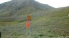 upload_2022-6-3_22-43-11.jpeg